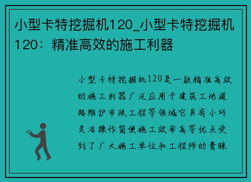小型卡特挖掘机120_小型卡特挖掘机120：精准高效的施工利器